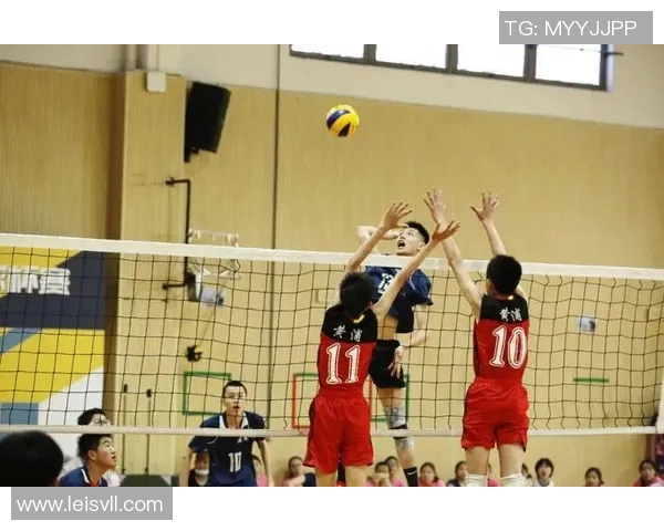 上海排球队在杯赛中的实力展现与未来发展潜力分析