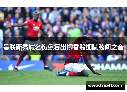 曼联新秀城名伤愈复出柳香般细腻弦间之音
