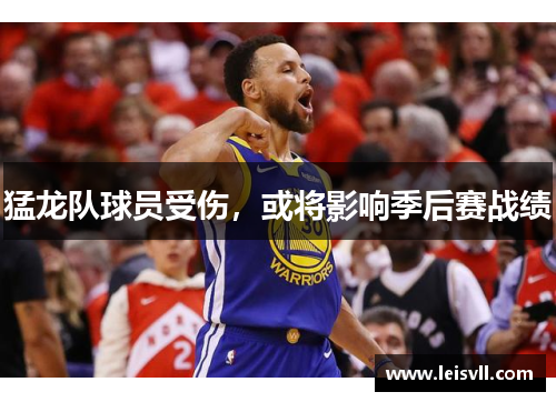 猛龙队球员受伤，或将影响季后赛战绩